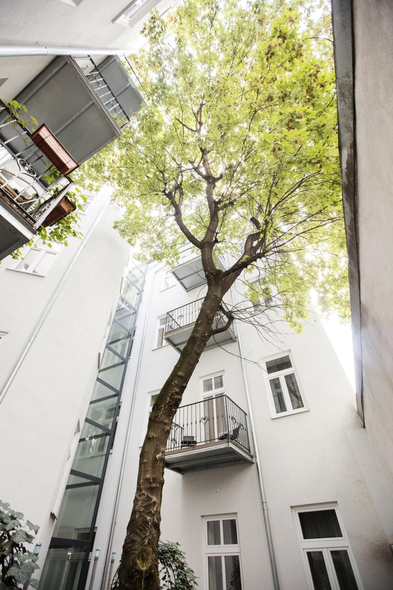 Appartement Nestroygasse Wenen